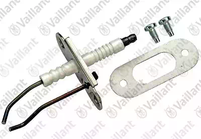 [090709] Electrode Vaillant